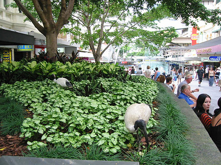 Foto Brsibane - Brisbane