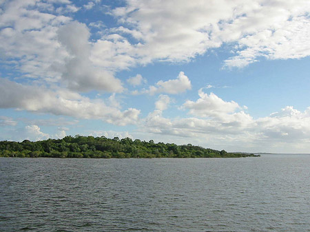 See Fotos